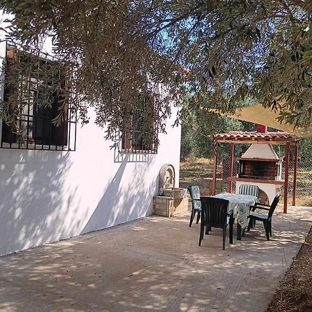 The Small House In The Olive Grove Лефокастро Экстерьер фото