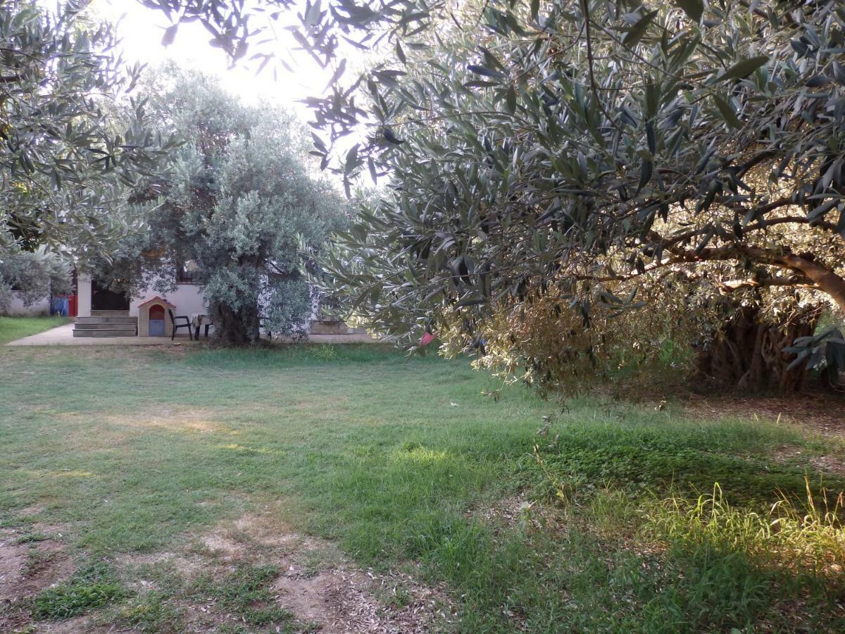 The Small House In The Olive Grove Лефокастро Экстерьер фото