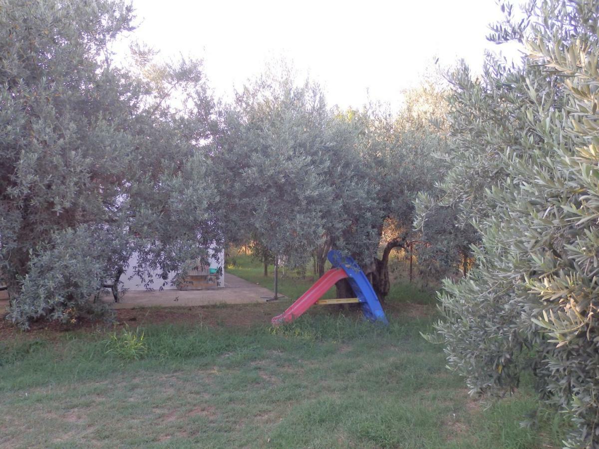 The Small House In The Olive Grove Лефокастро Экстерьер фото