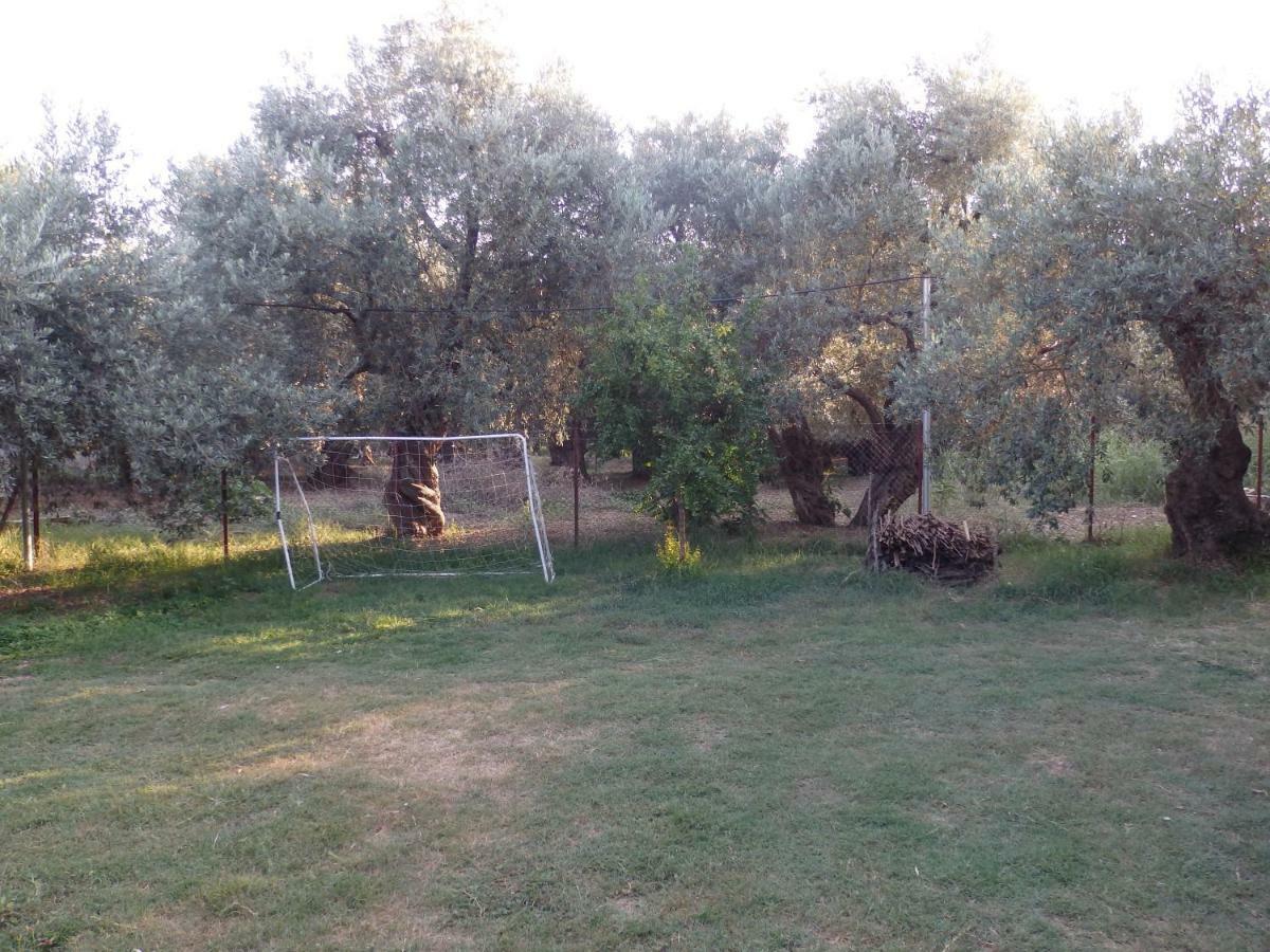 The Small House In The Olive Grove Лефокастро Экстерьер фото