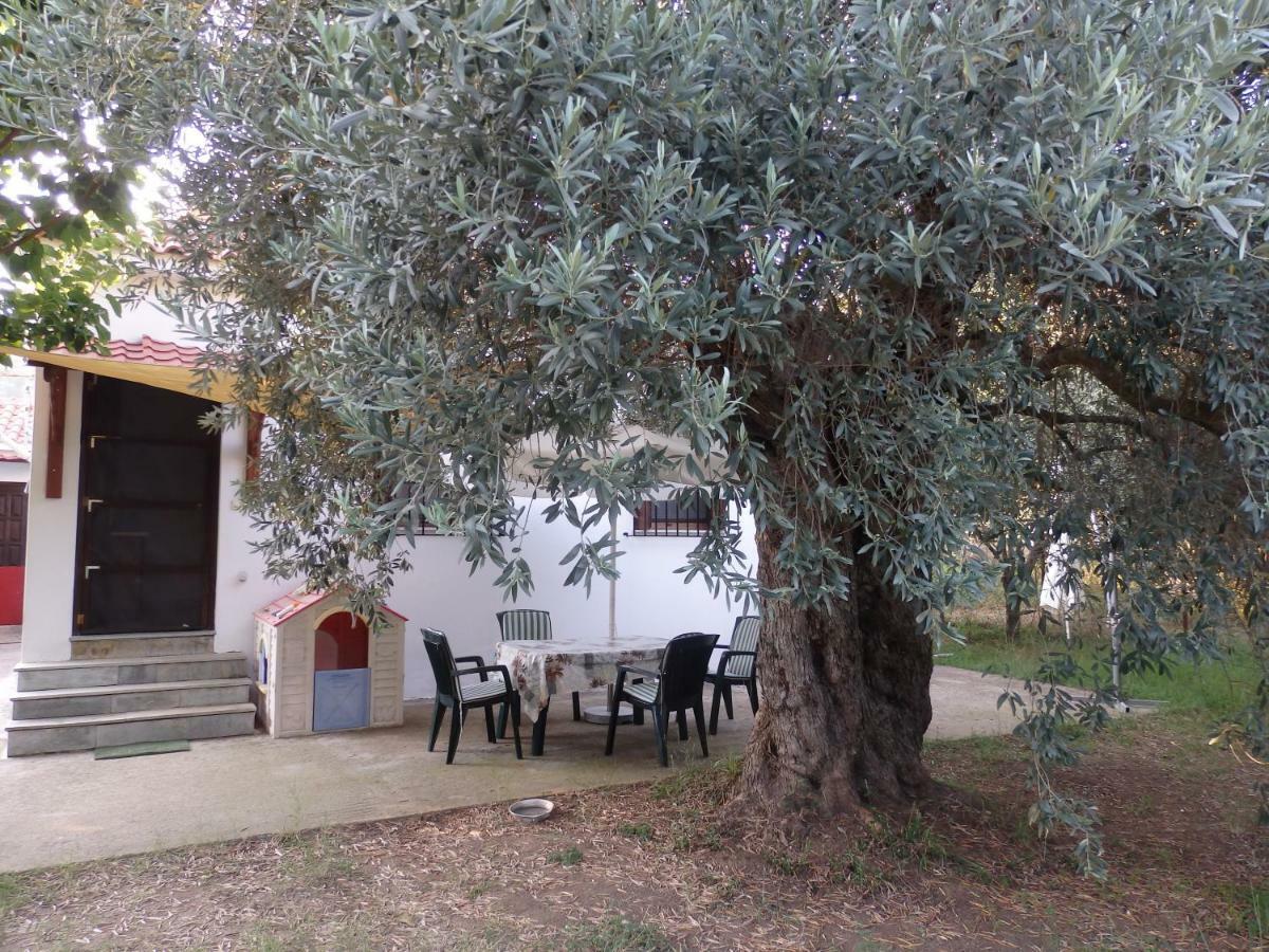 The Small House In The Olive Grove Лефокастро Экстерьер фото