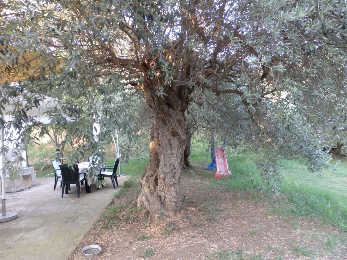 The Small House In The Olive Grove Лефокастро Экстерьер фото